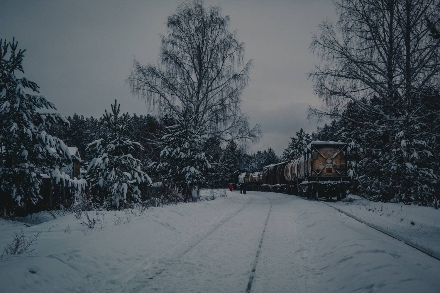 Photo #13560582