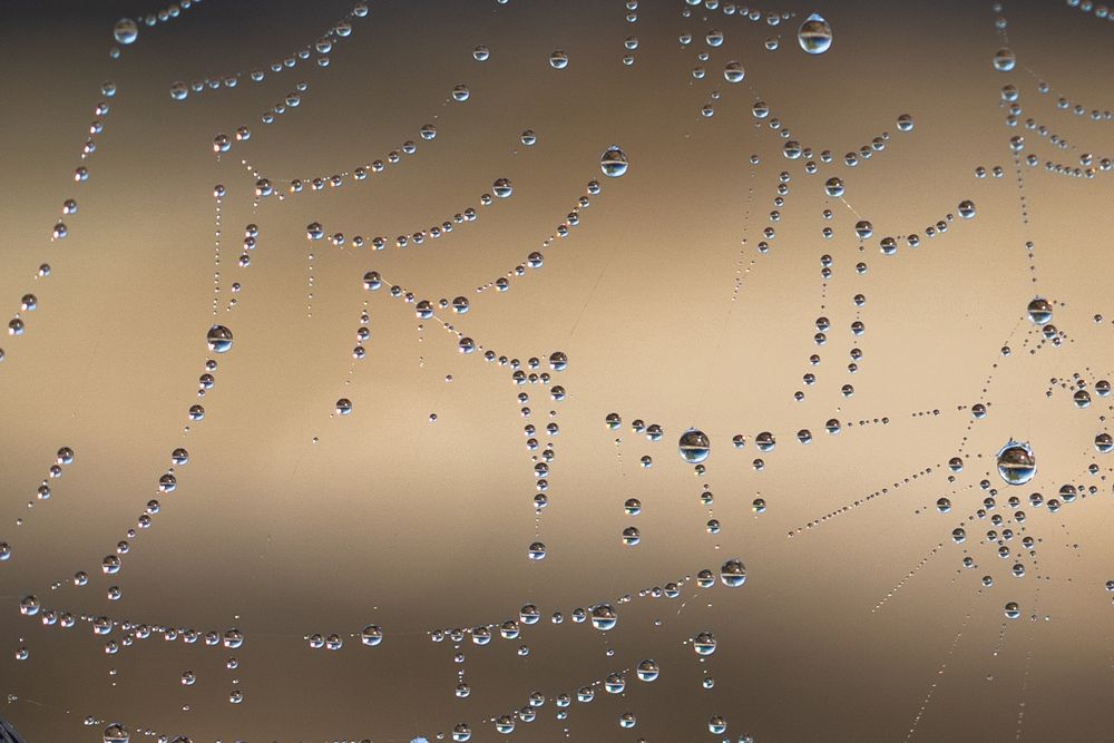 Photograph by Владимир Рогулькин
