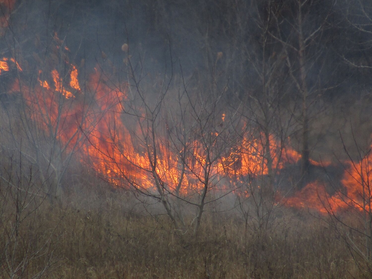 Photo #13560712
