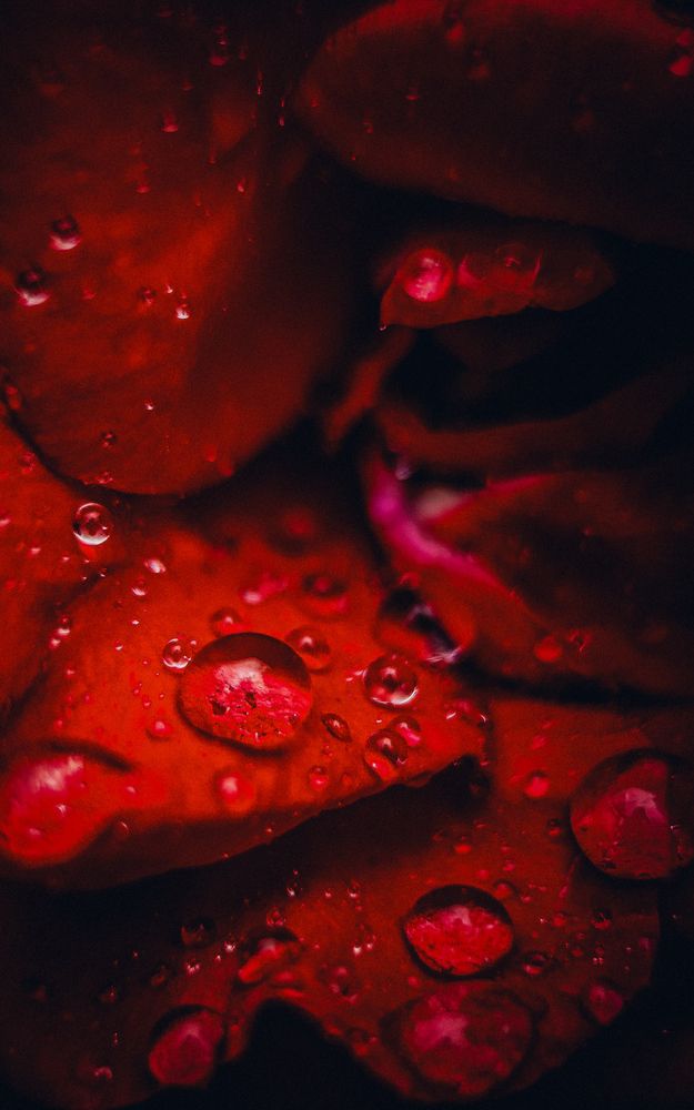 Photograph by Александра Шилова