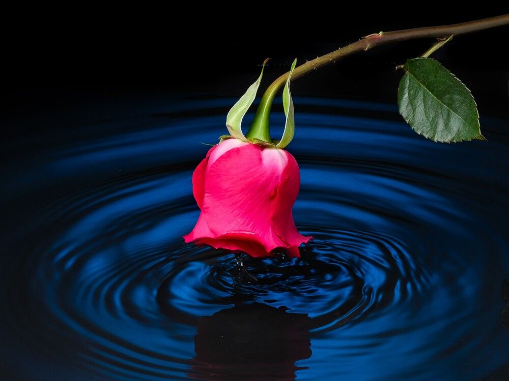 Photograph by Сергей Разин