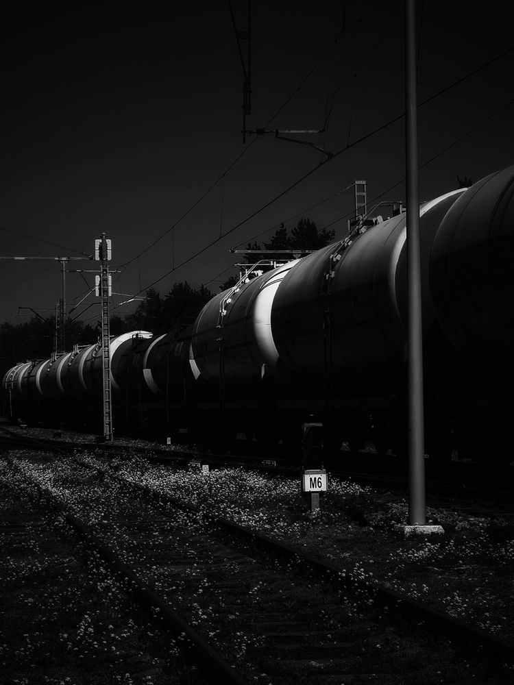 Photograph by Екатерина Народицкая