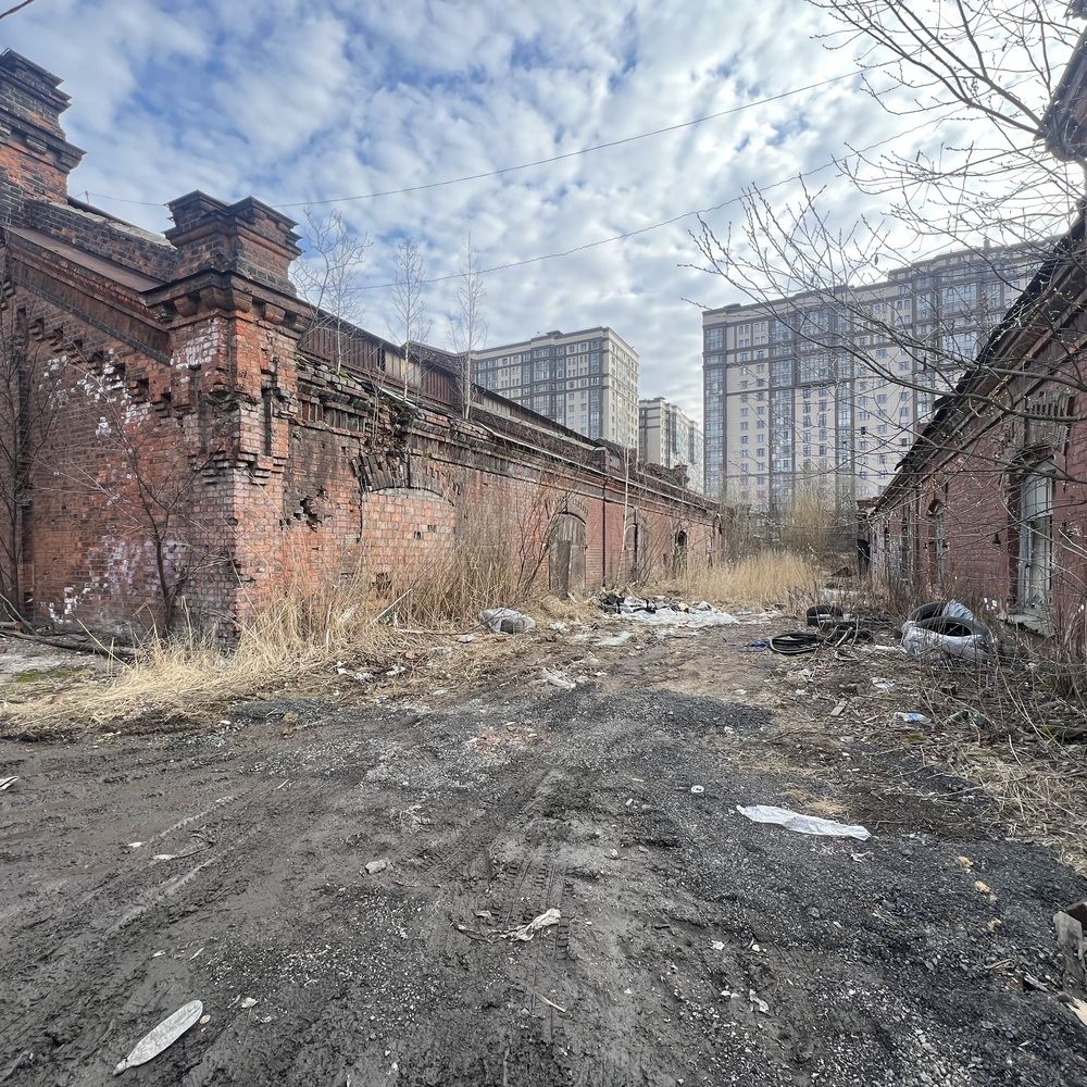 Photograph by Владимир Носачев