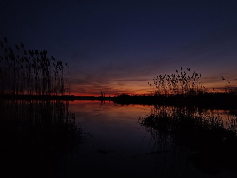 Photograph by Инна Мухина