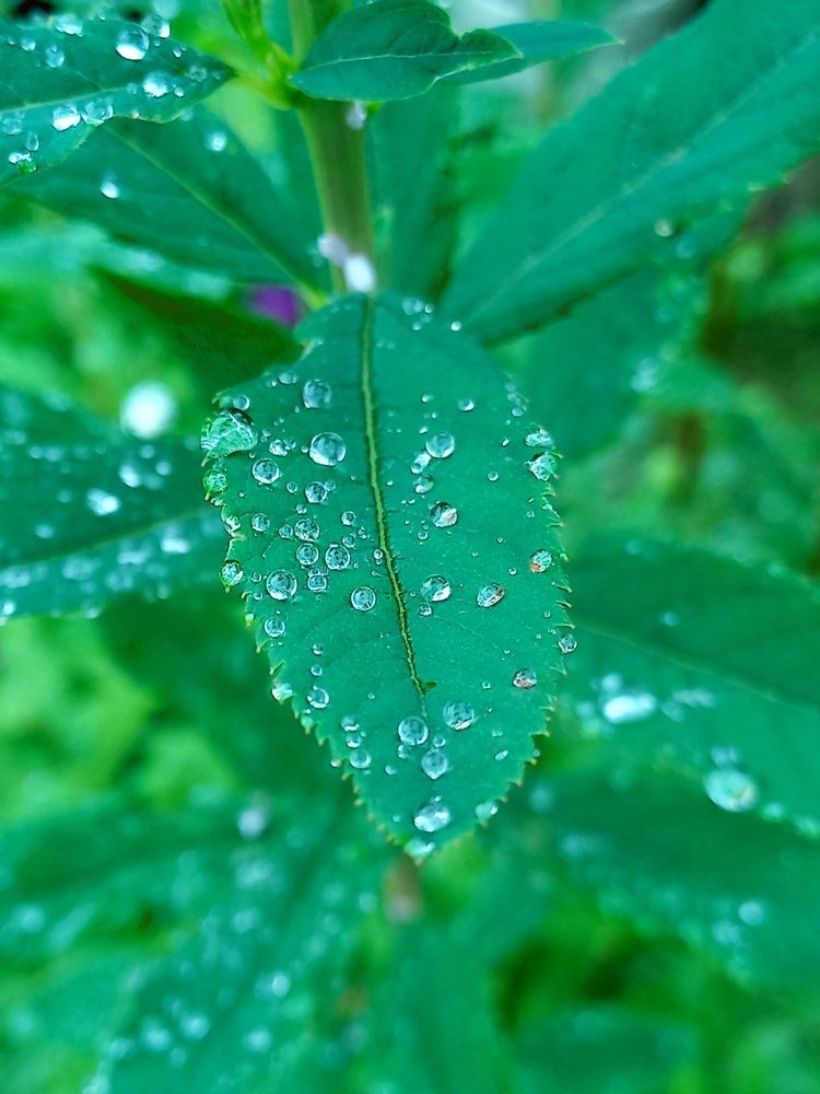 Photograph by Яна