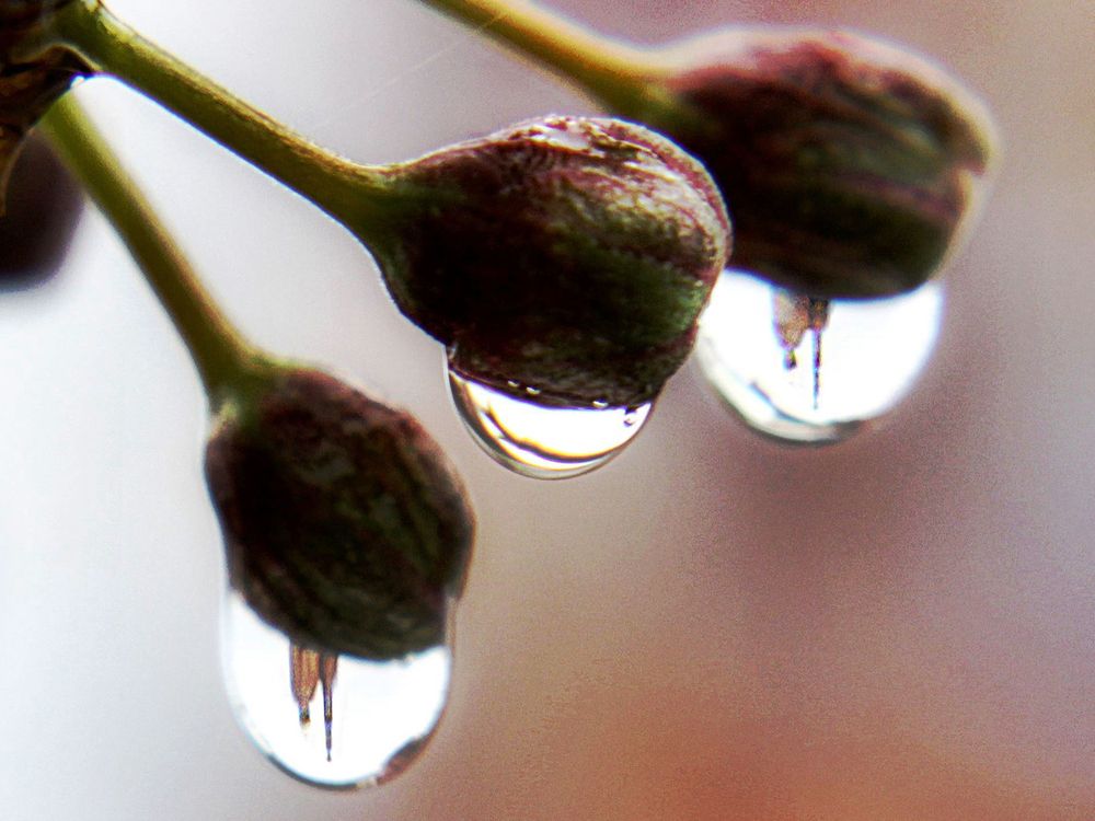 Photograph by Алексей Коношонкин