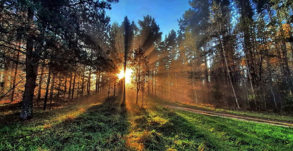 Photograph by Александр Лазебник