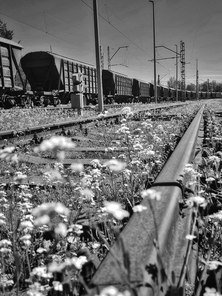 Photograph by Екатерина Народицкая