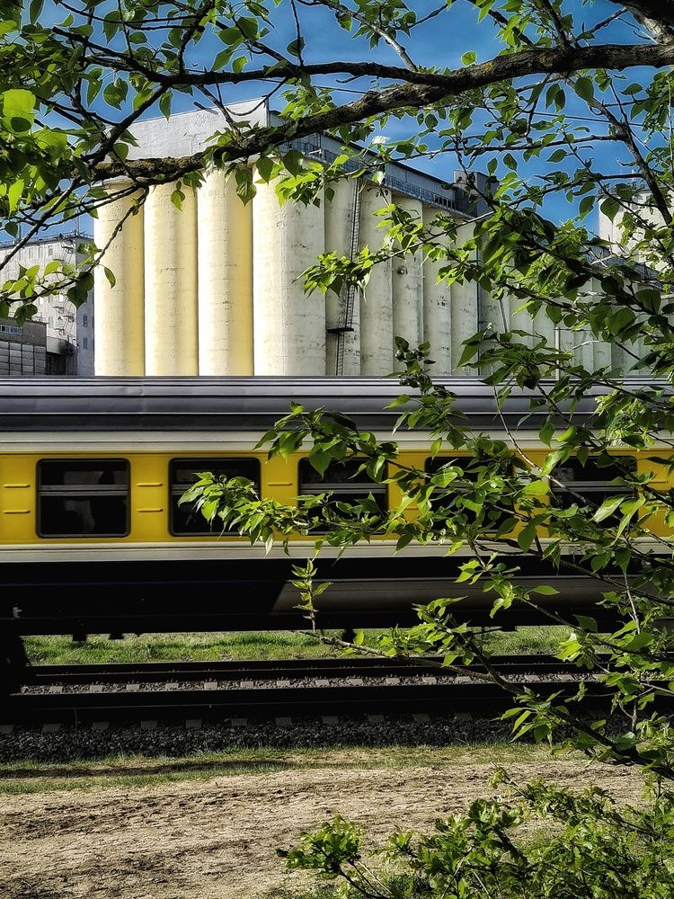 Photograph by Екатерина Народицкая