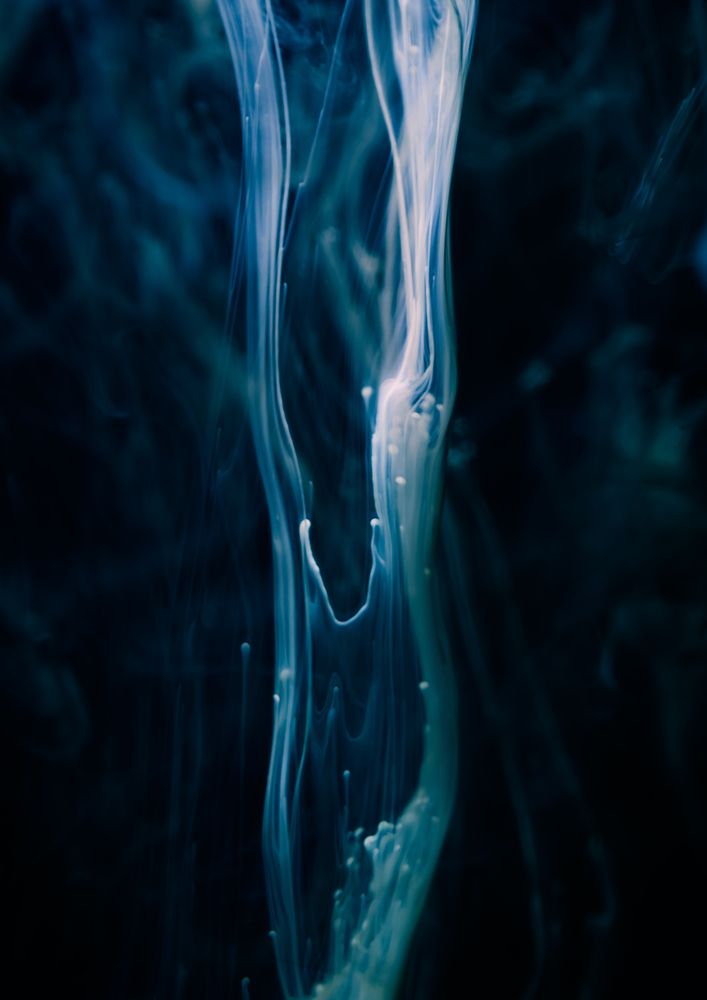 Фотография автора SHIN