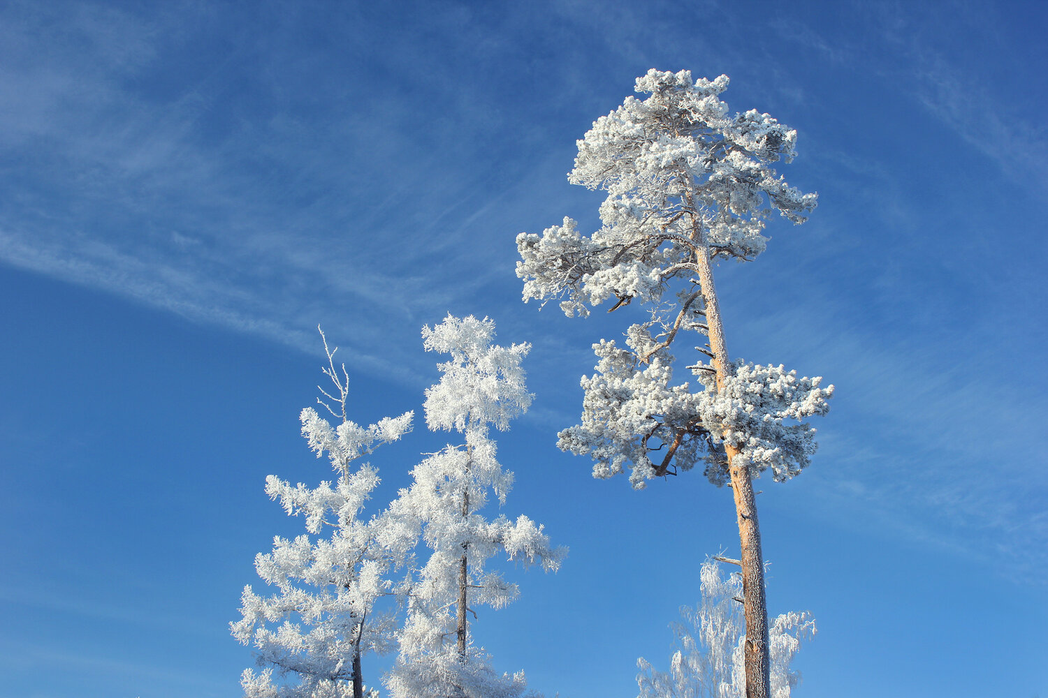 Photo #13561163