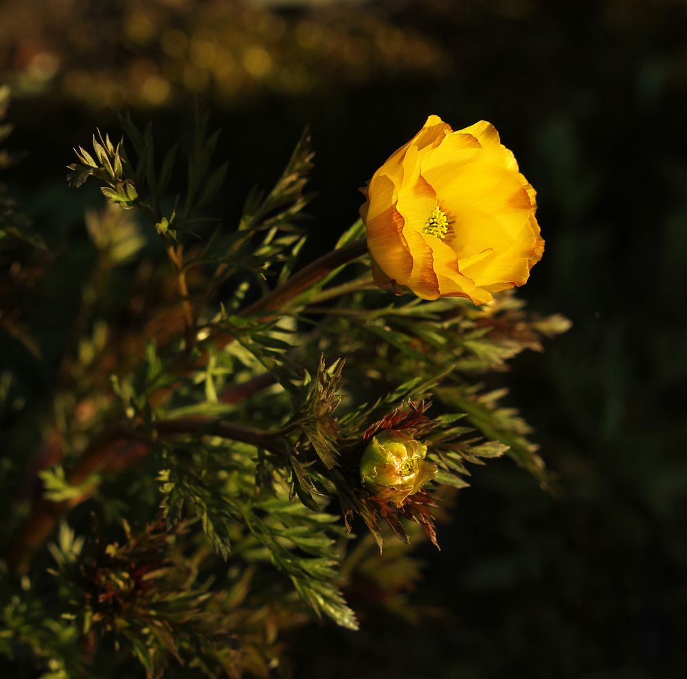 Photograph by Татьяна