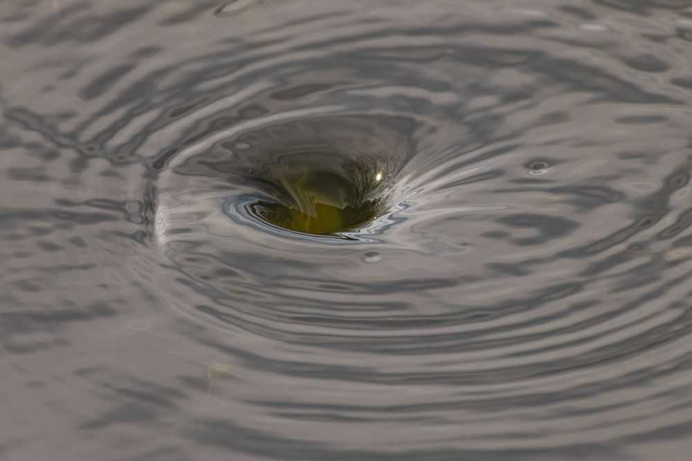 Photograph by Алексей Сиваков