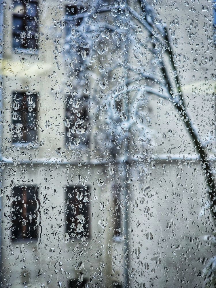 Photograph by Natali AB