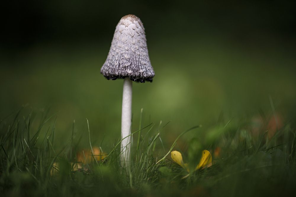 Photograph by Максим Мураков