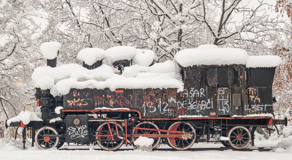 Photograph by Dragan Leles