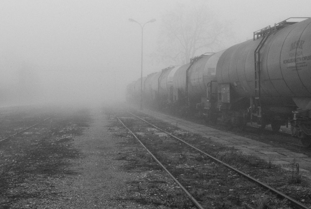 Photograph by Dragan Leles