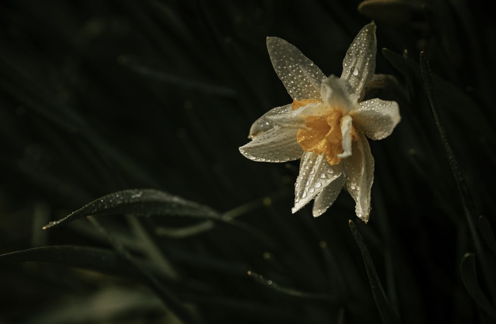 Photograph by Александрова Александра