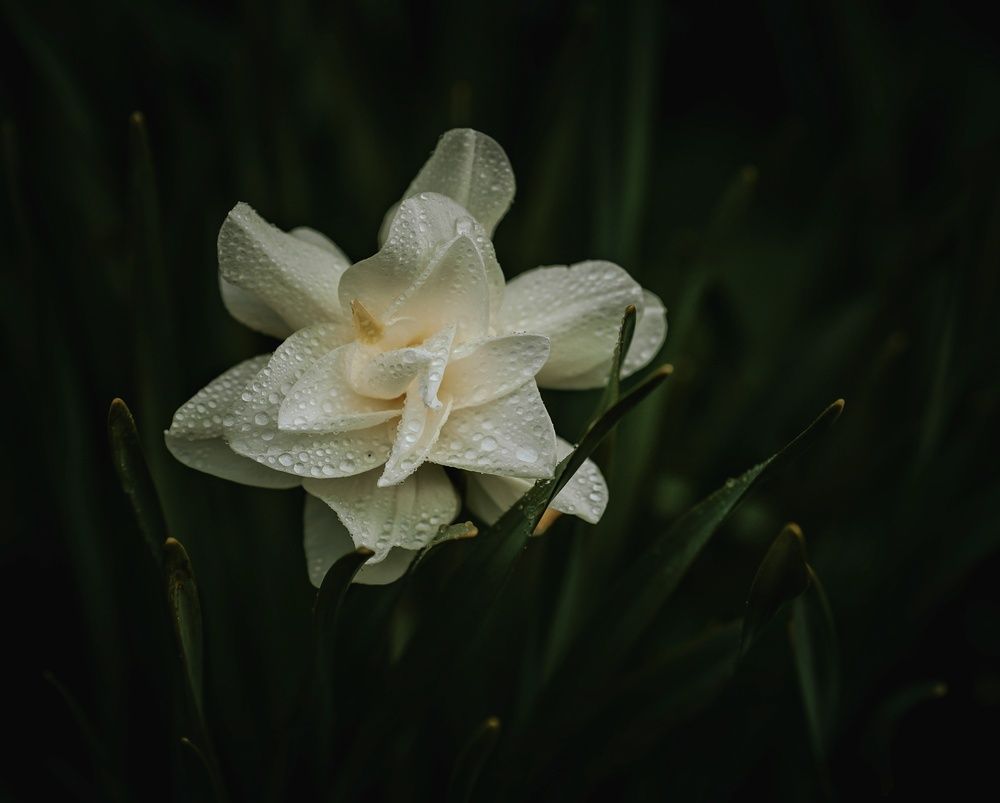 Photograph by Александрова Александра