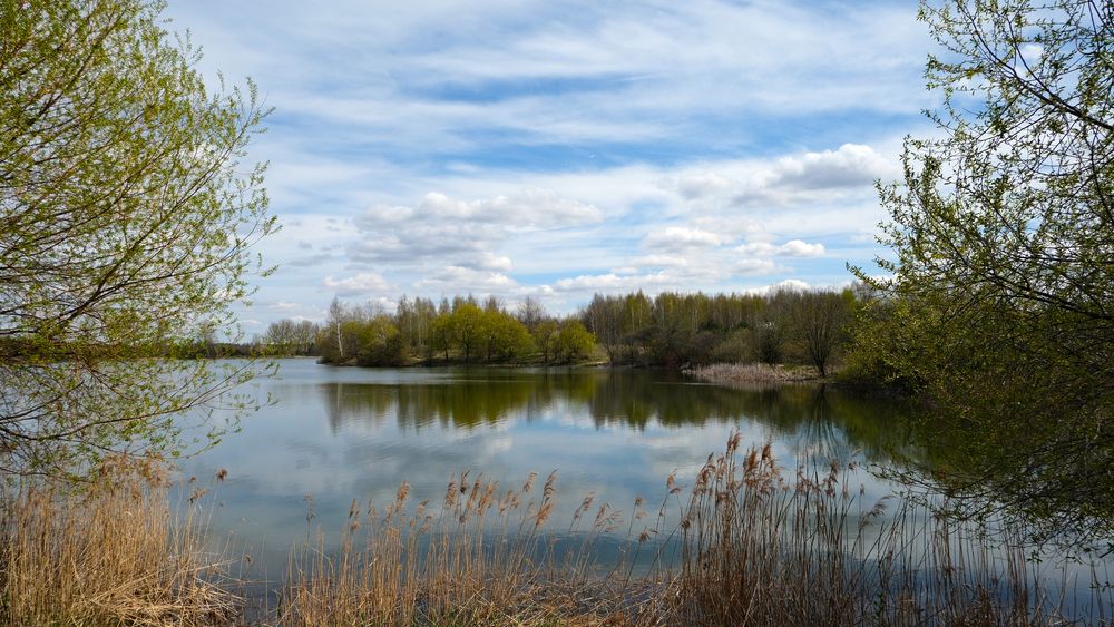 Весна. У воды.