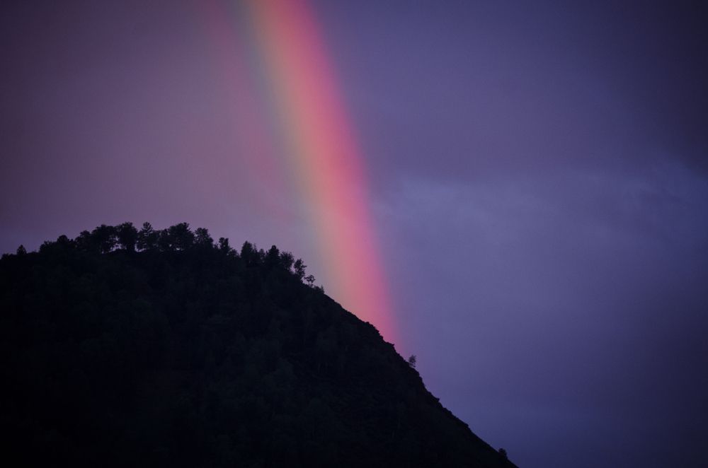 Photo #13561786