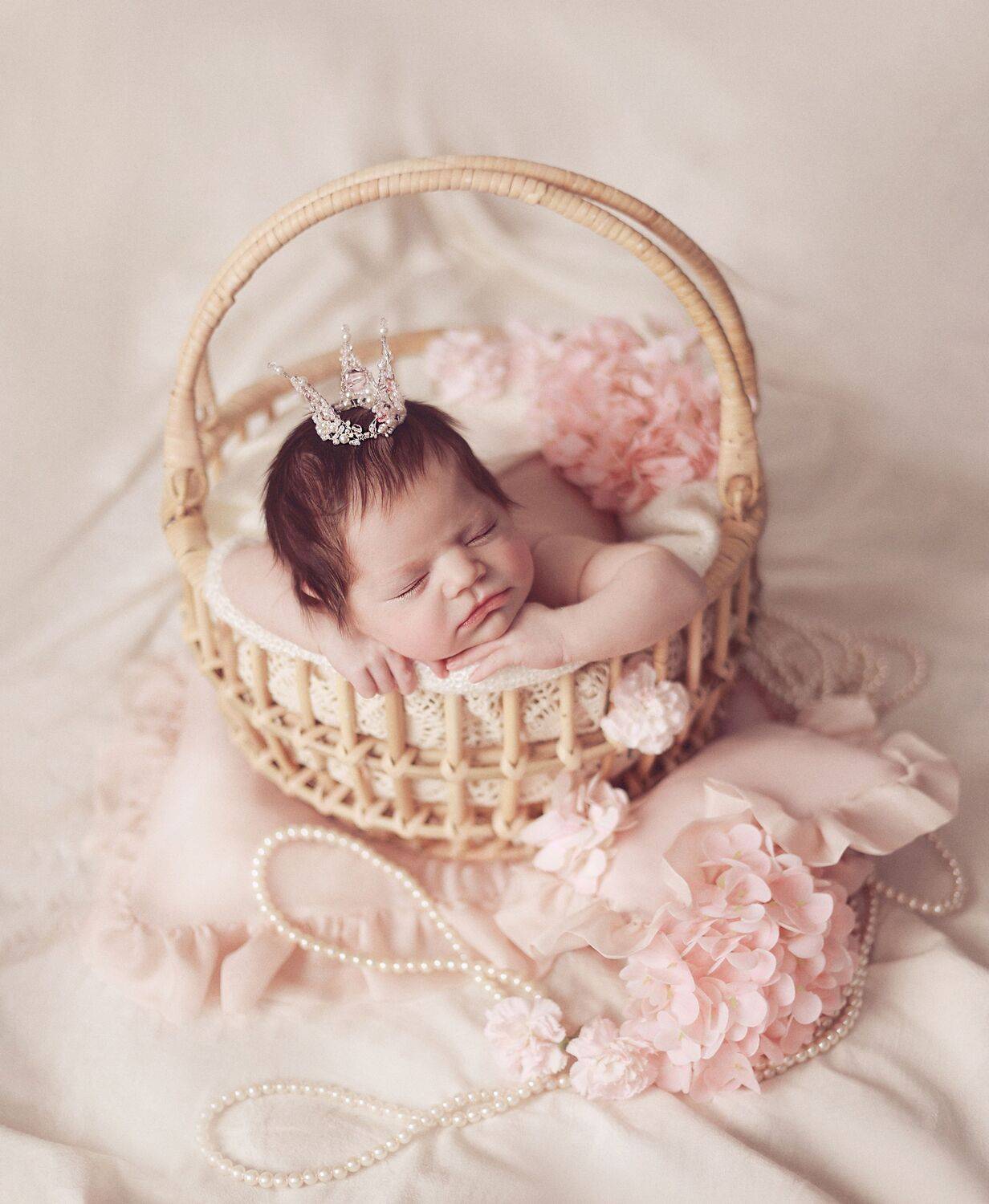 Photo #13561819