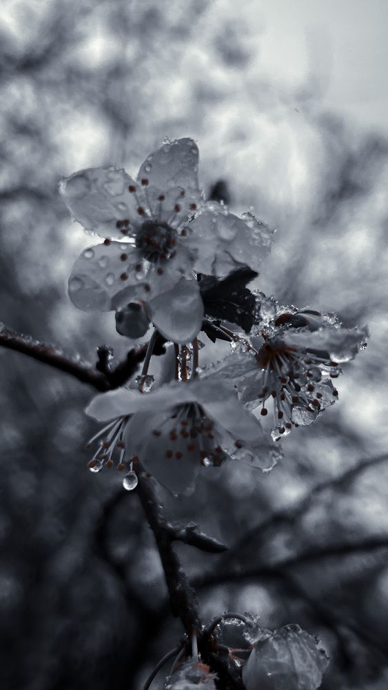 Photograph by Евгений Фисун