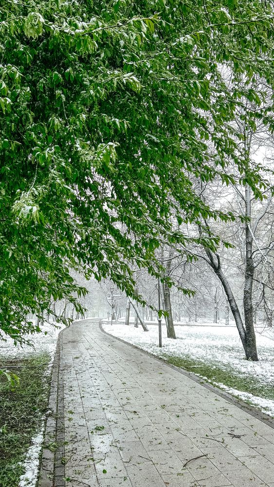 Photograph by Евгений Фисун