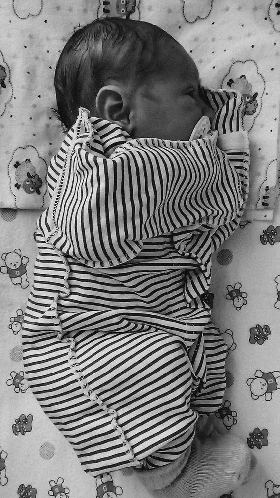 Photo #13561933