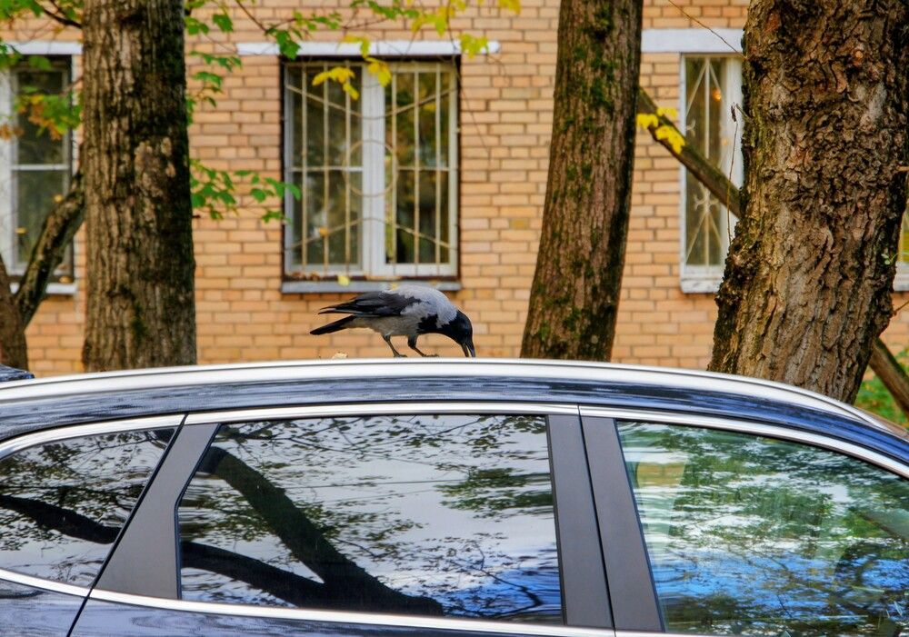 Photograph by Михаил Обертаев