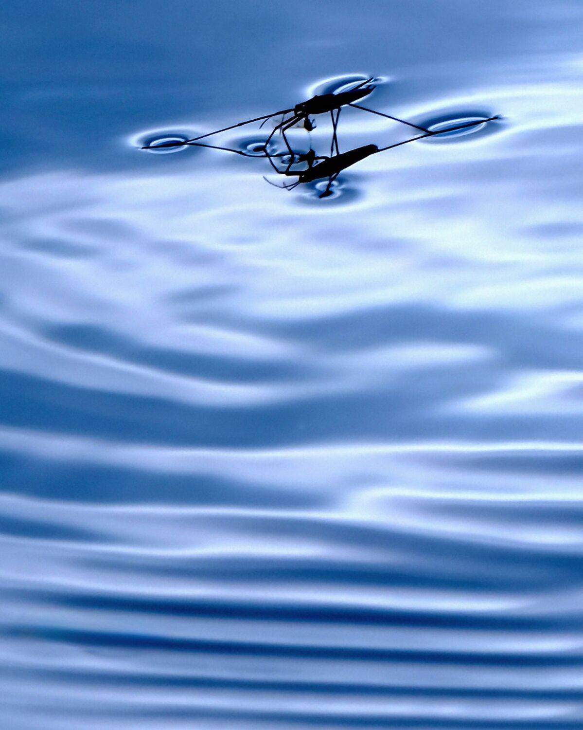 Surface Tension