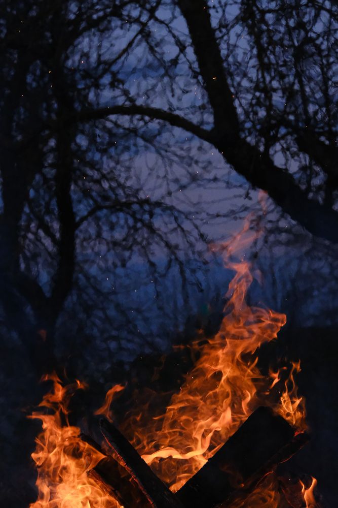 Photograph by Александр Высоцкий