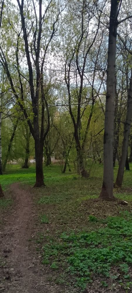 Photograph by Александр Евреинов