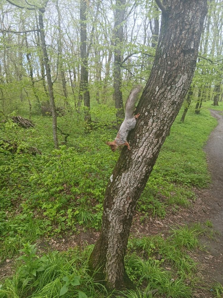 Photograph by Юрий Хадыка