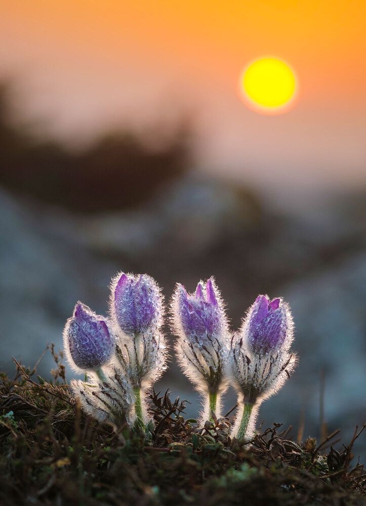 Photograph by Владимир Сковородников
