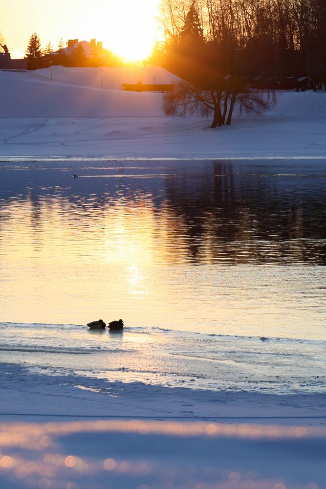 Photograph by Дарья Гусева