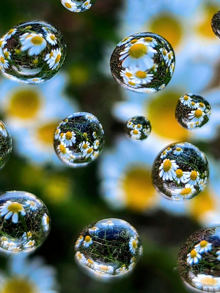 Photograph by Ульяна Кузьмина