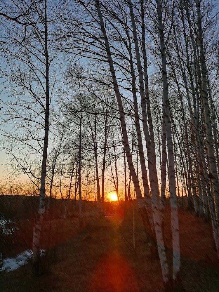 Photograph by Наталья Круглова