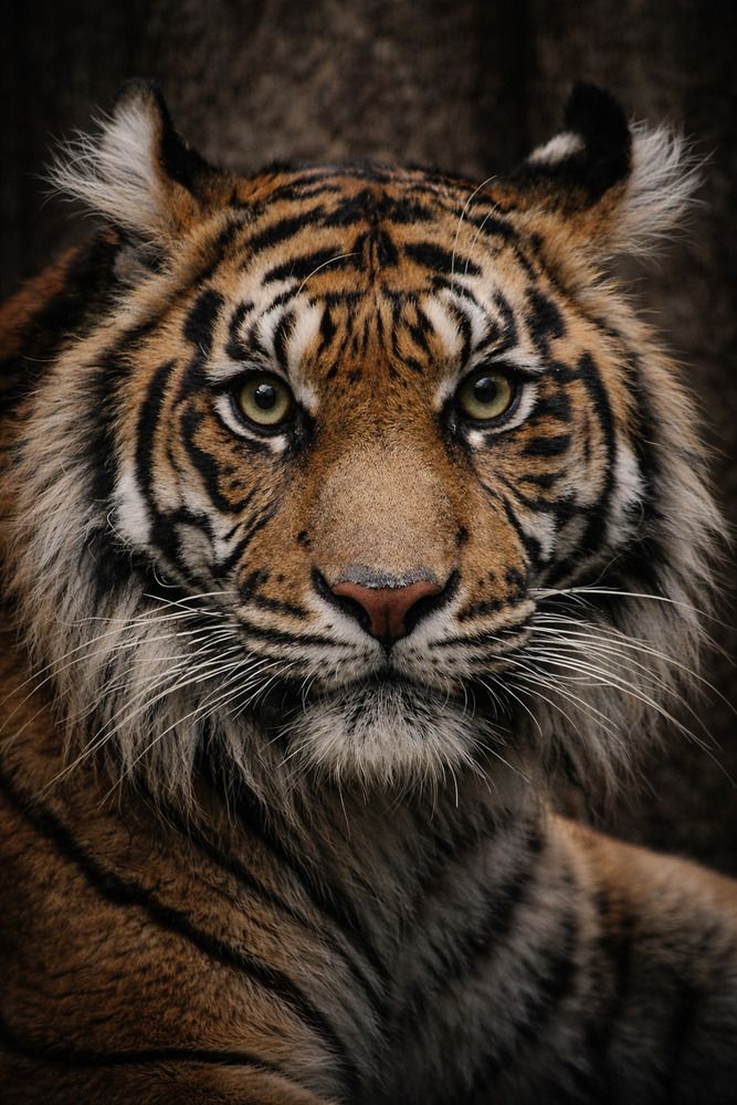 Photograph by Elitsa Mihaylova