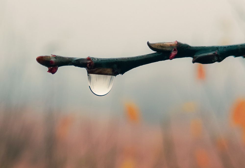 Photograph by Ольга Кунакова