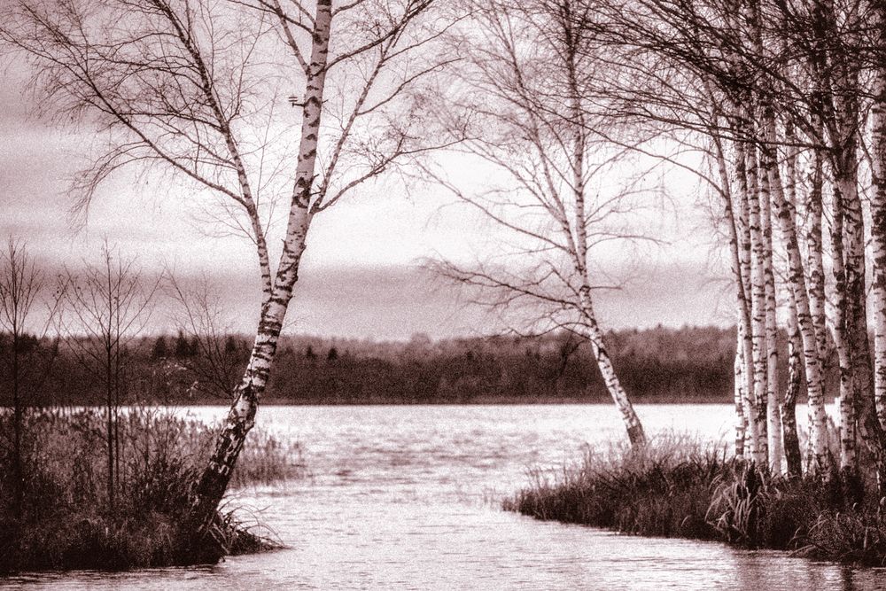 Photograph by Игорь Ротахин