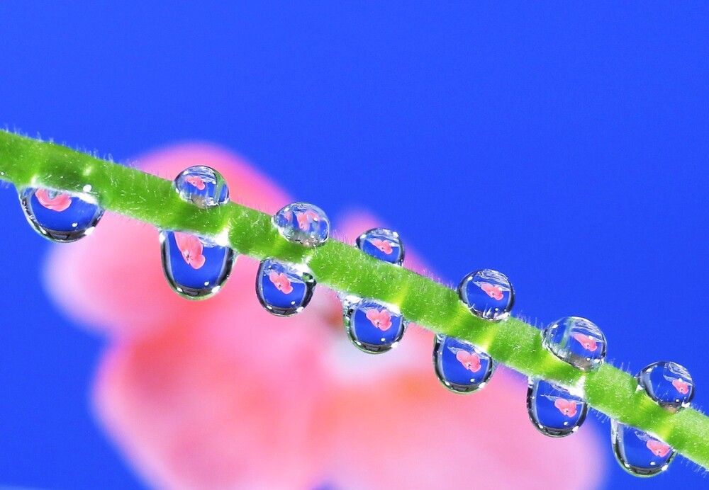 Photograph by Людмила Хрусталева*
