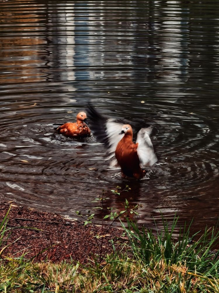 Photograph by Tatiana Potapenko