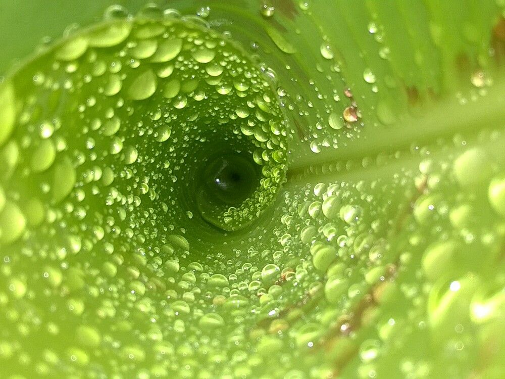 Photograph by sumit sitole