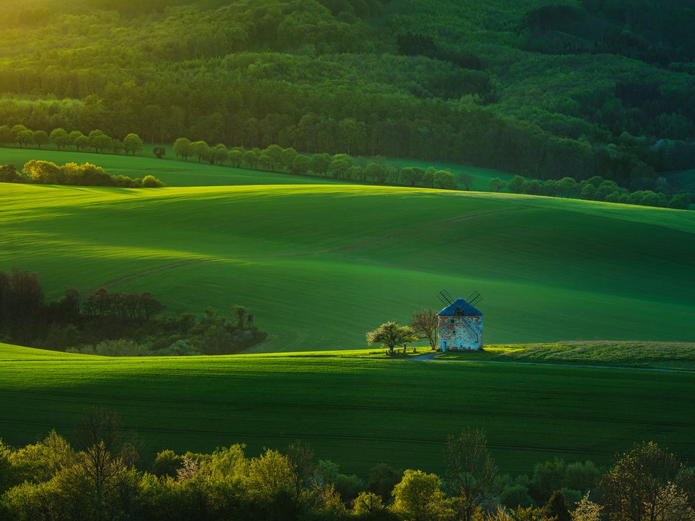 rhythms of moravian tuscany