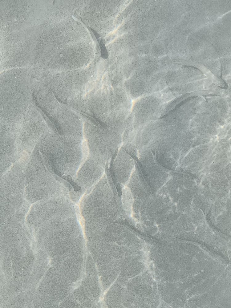Photograph by Ольга Денисова
