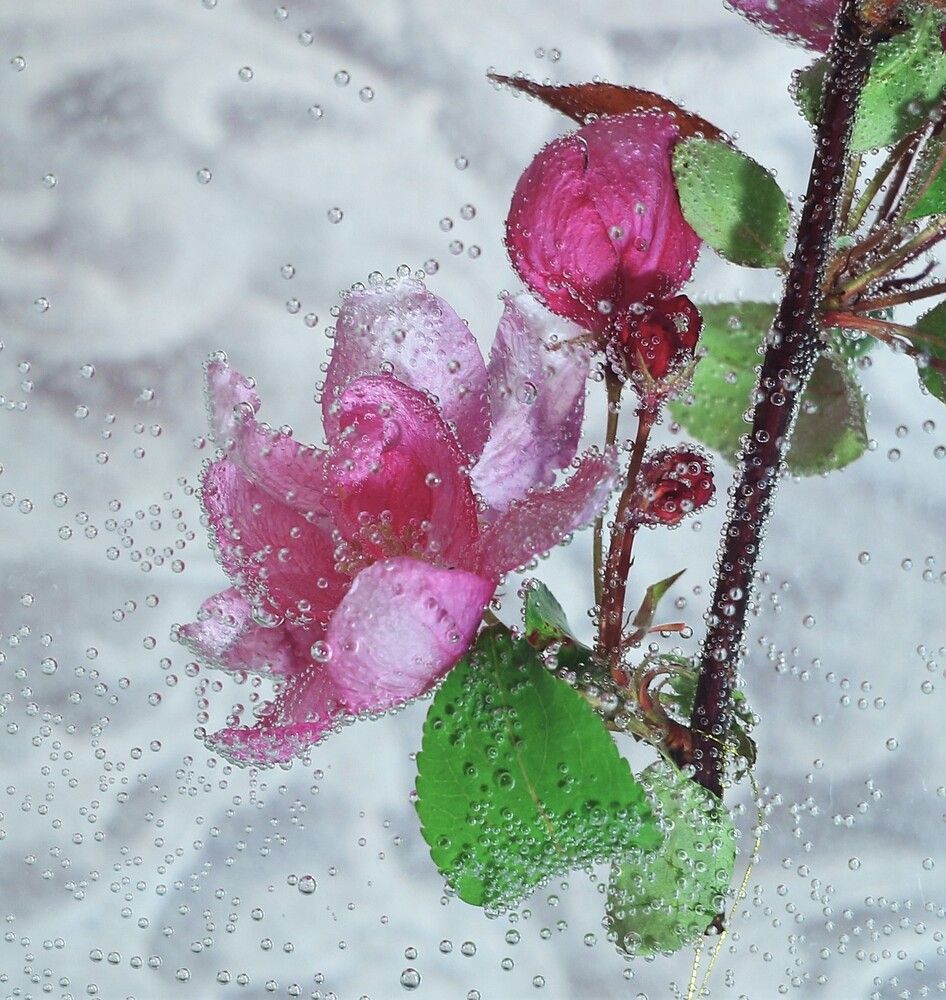 Photograph by Людмила Хрусталева*
