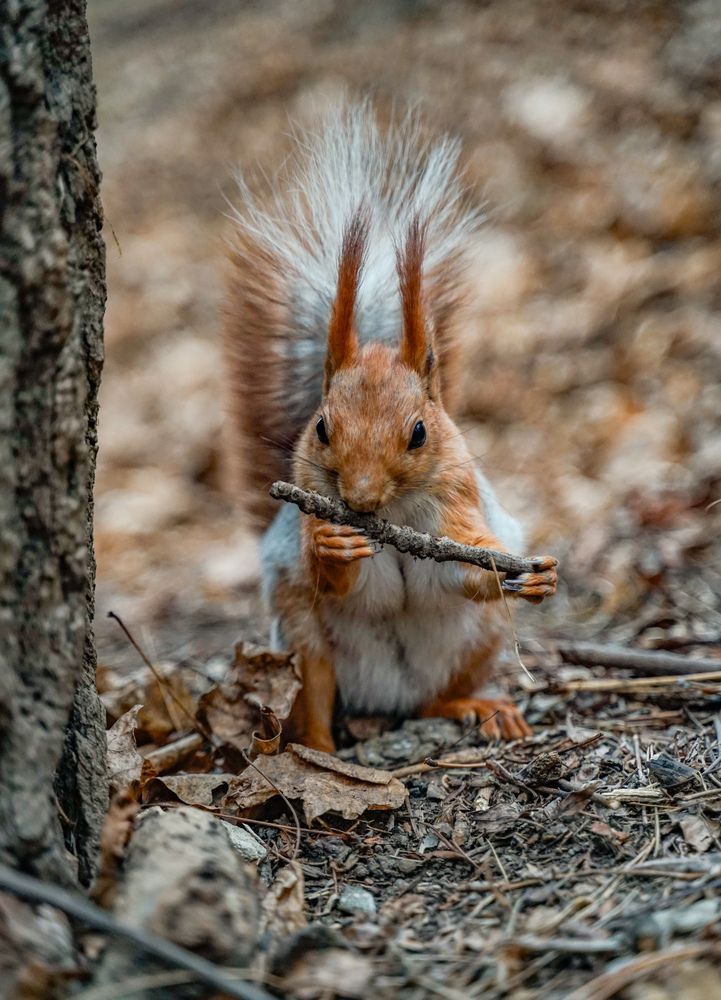 Photograph by Ксения Чемодурова