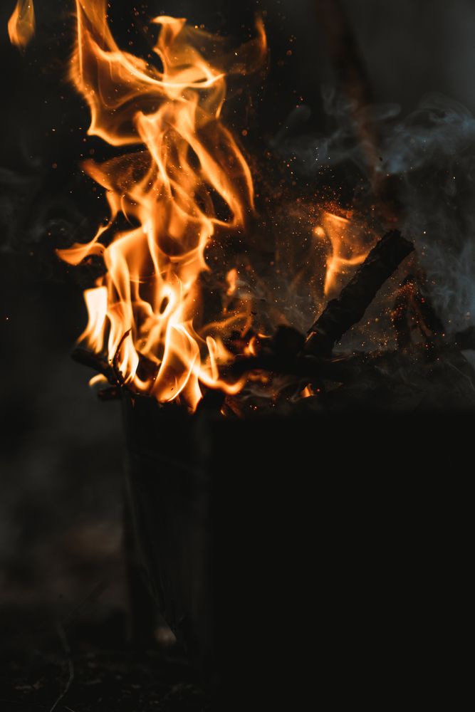 Photograph by Алексей