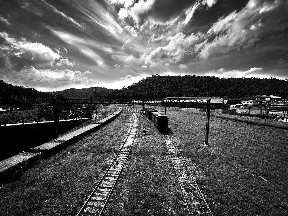 Photograph by Carmem D` Luca